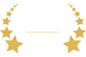 New York Film Awards - Logo Small