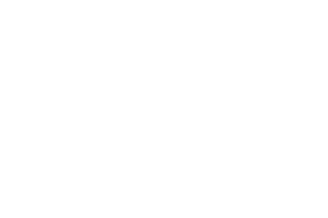 Deep Focus - Laurel - Small