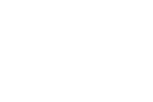 Evolution Film Festival - Laurel - Small